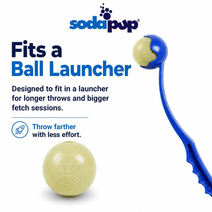 Glow in the Dark Glitter Ball 2-Pack Dog Toy Soft PUP-X Rubber Floating Fetch Ball with Treat Dispenser