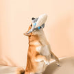 Dog Toy Shark Ocean Pals Dog Plush Mesh Toy