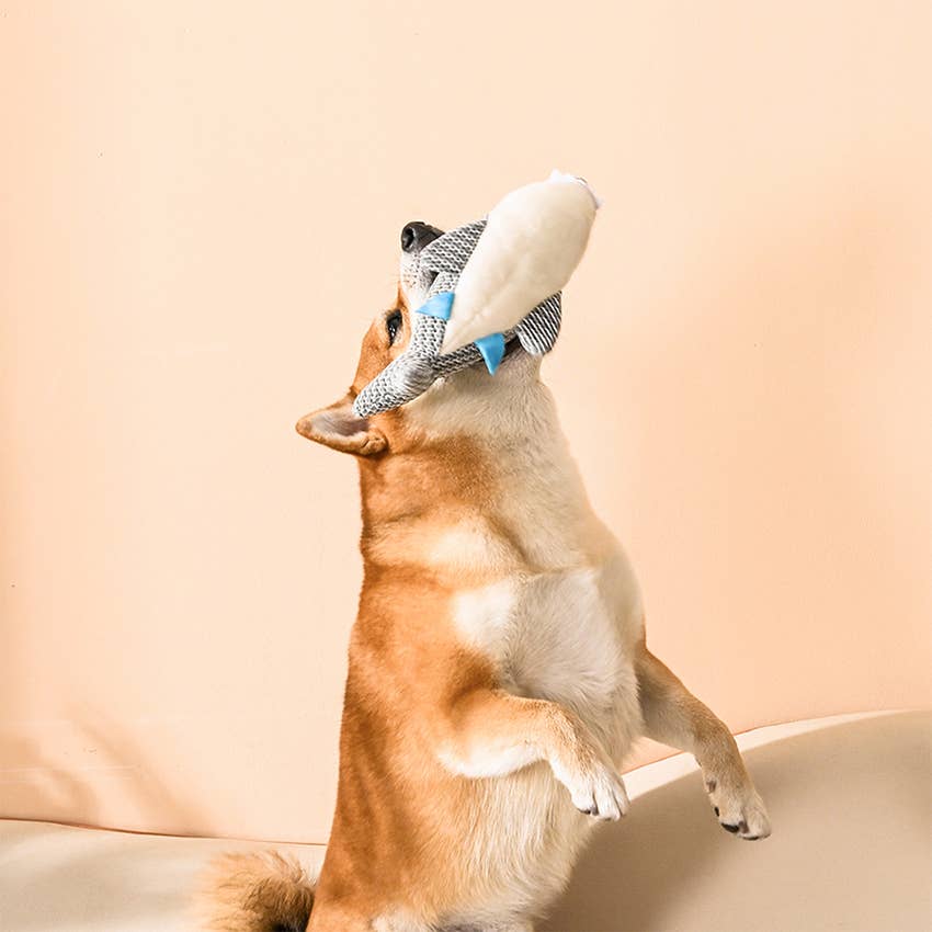 Dog Toy Shark Ocean Pals Dog Plush Mesh Toy