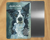 Border Collie (Blue & Brown Eyes) -UD Metal Sign