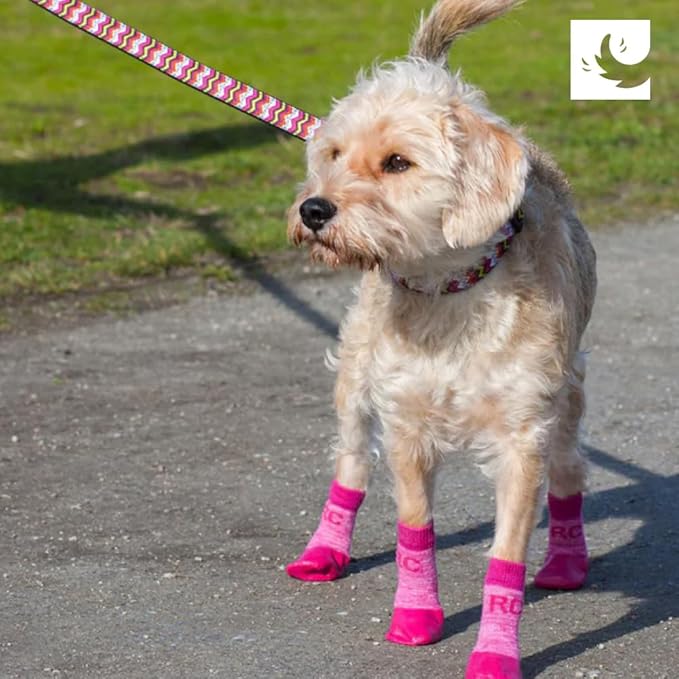 Indoor/ Outdoor Dog Socks Red