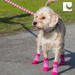 Indoor/Outdoor Dog Sock - Mulberry