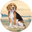 Beagle Car Coaster