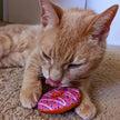 Strawberry Donut Cat Toy