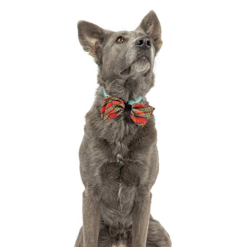 H&K Shiny Christmas Plaid Bow Tie