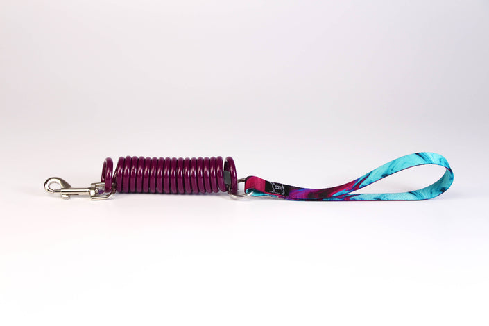 Unique Coil Pet Leash