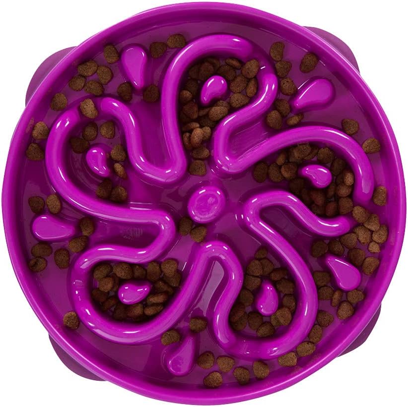 Outward Hound Fun Feeder Slow Feeder Pet Bowl
