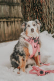 Dog Waste Bag Holder Dusty Rose With Clasp
