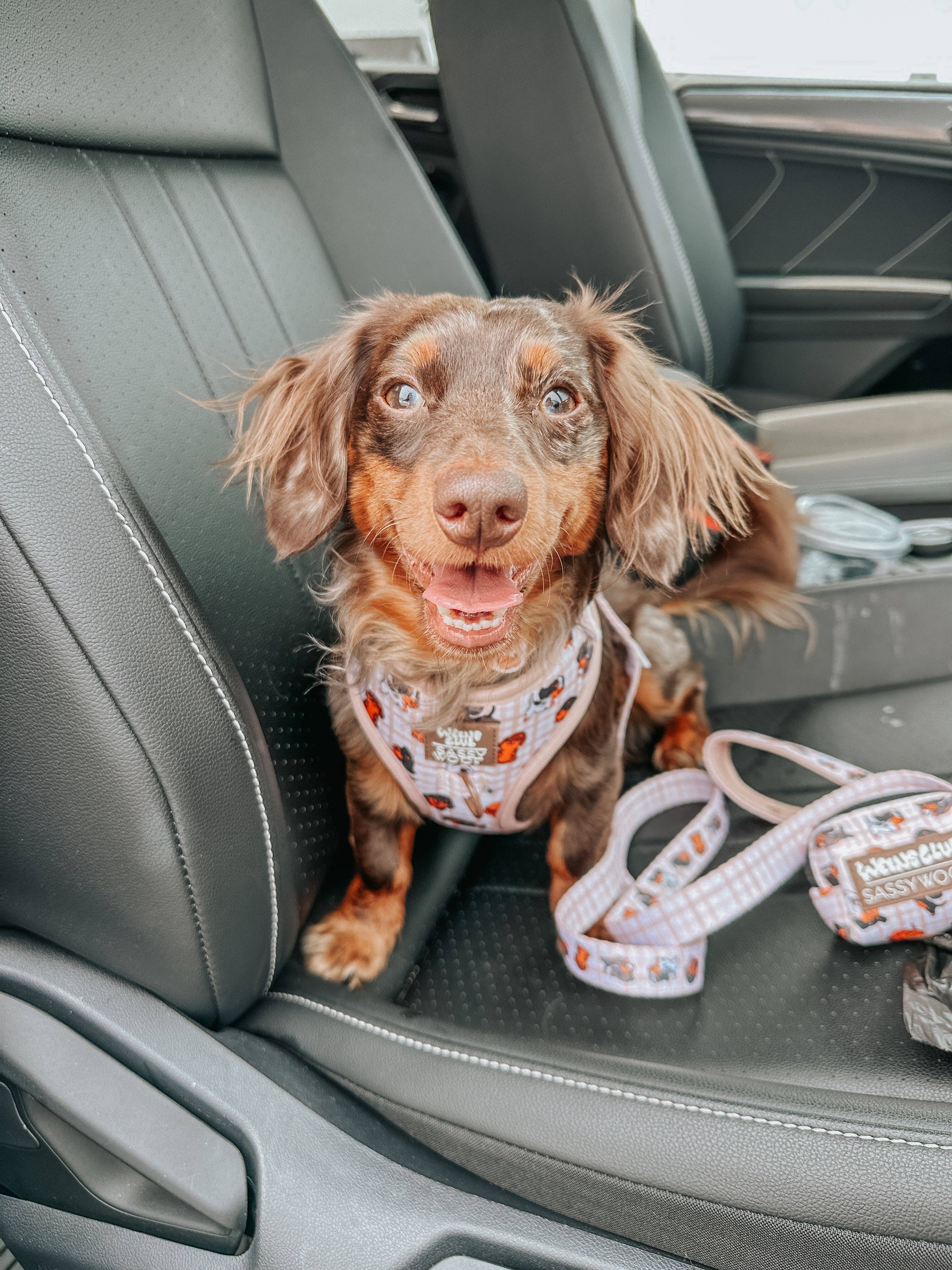 Dog Waste Bag Holder Weens Club With Clasp