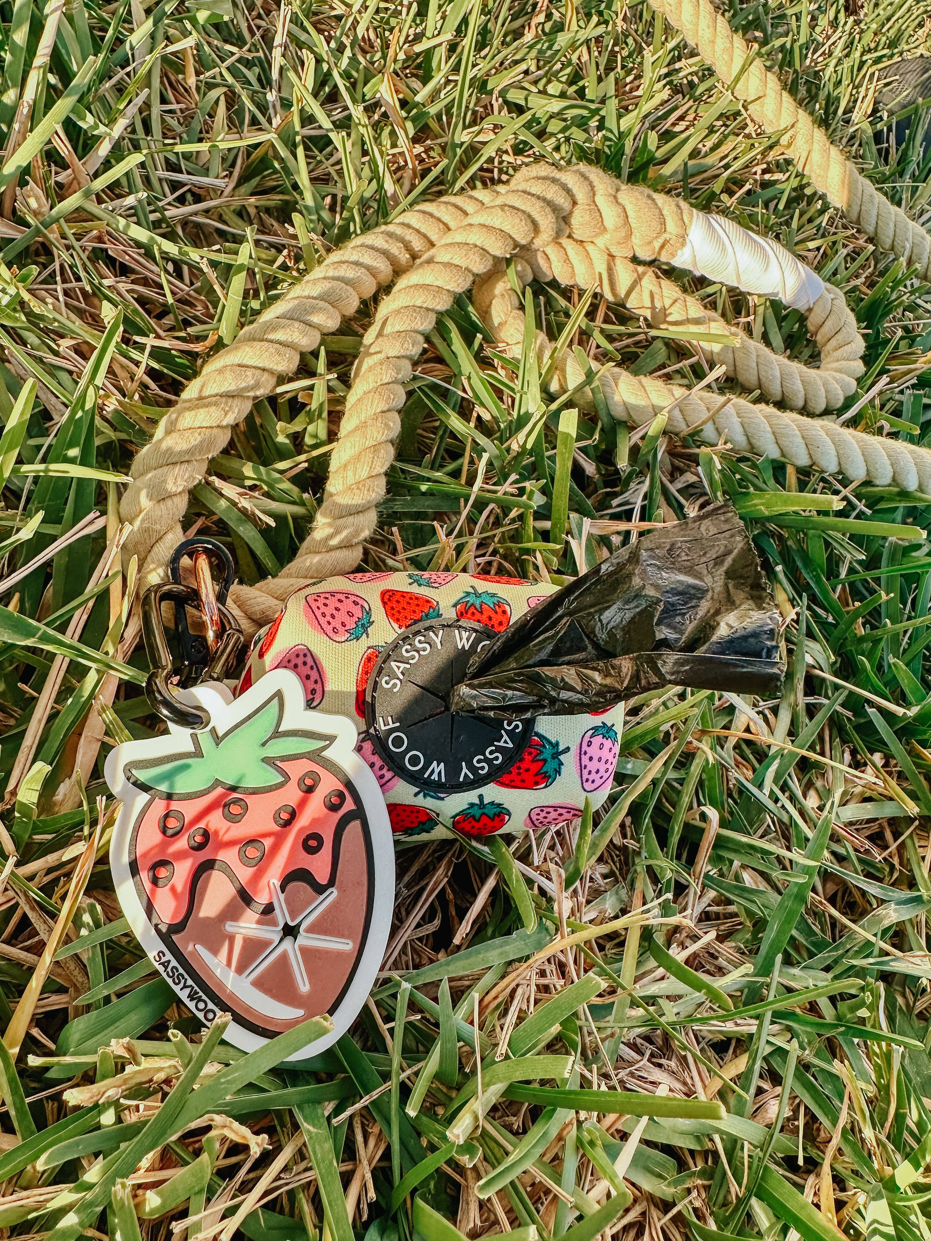 Potty Pal - Chocolate Strawberry
