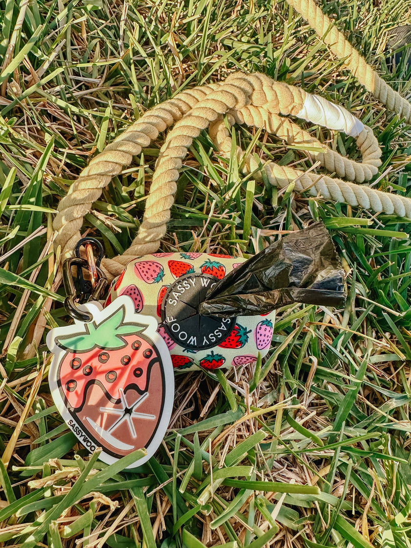 Potty Pal - Chocolate Strawberry