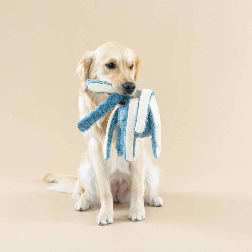 PetShop by Fringe Studio Long Time No Sea Dog Toy