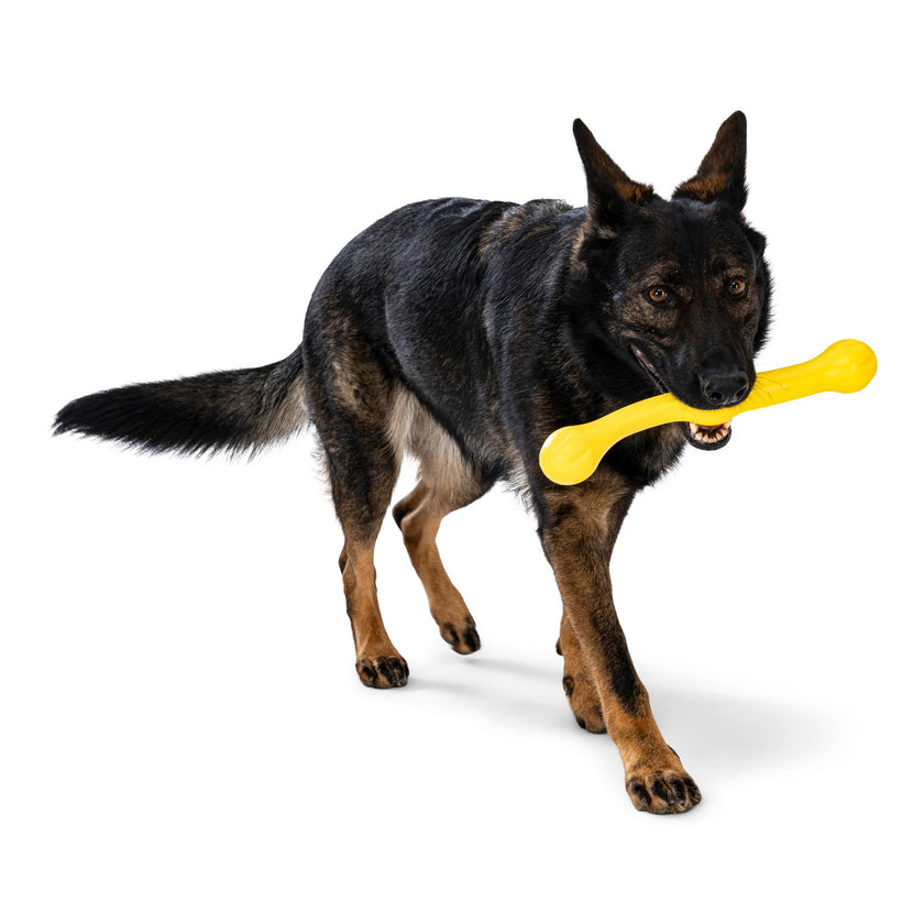 Dog Toy Zwig® for Play, Tug, and Fetch Floating Toy