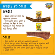 Tibetan Split Antler-Jumbo