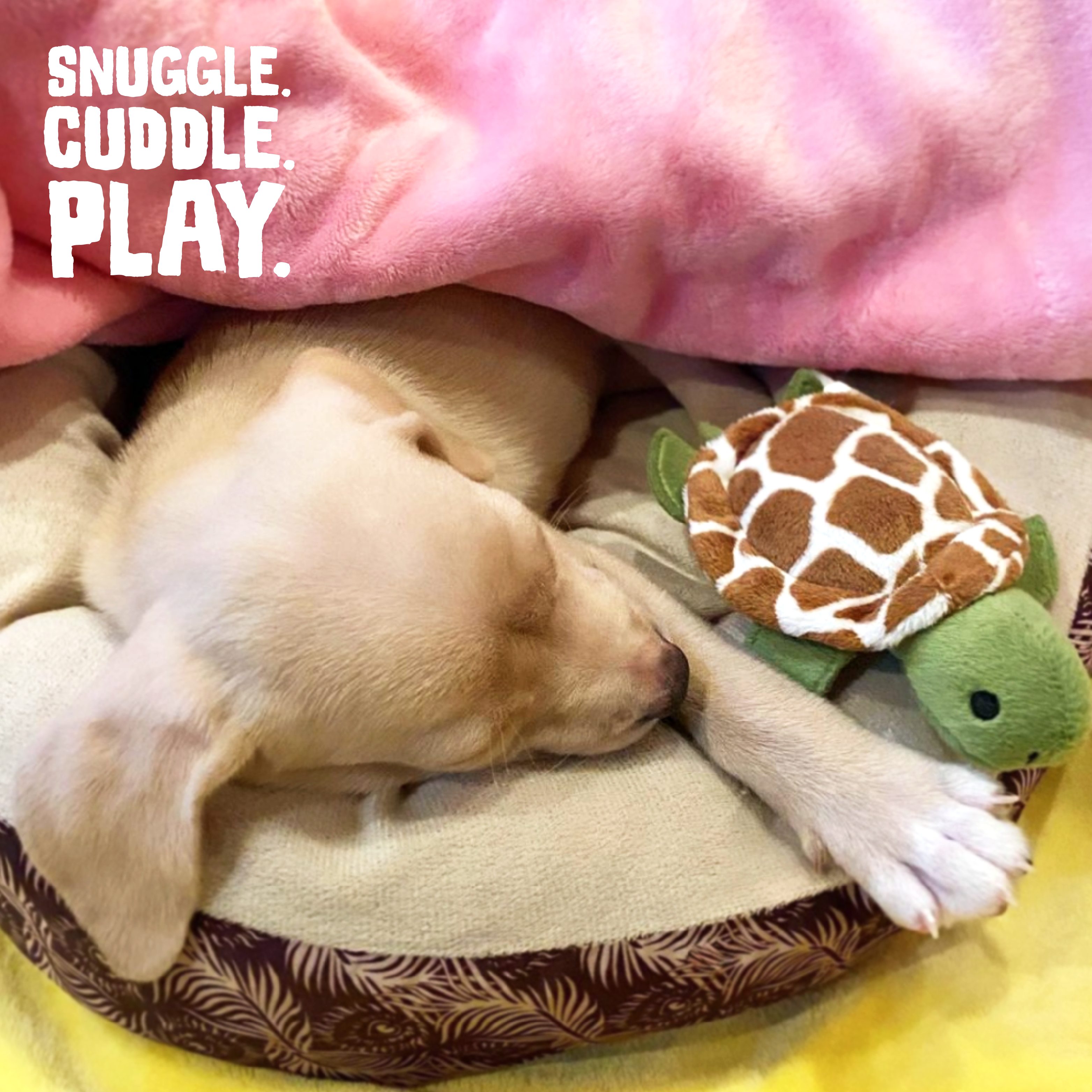 SnugArooz Baby Shelldon Plush Dog Toy 5