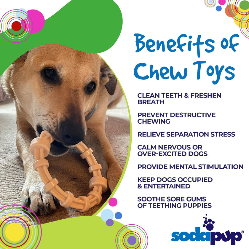 Dog Toy SP Honey Bone Chicken Flavored Teething Dog Toy Ring for Aggressive Chew