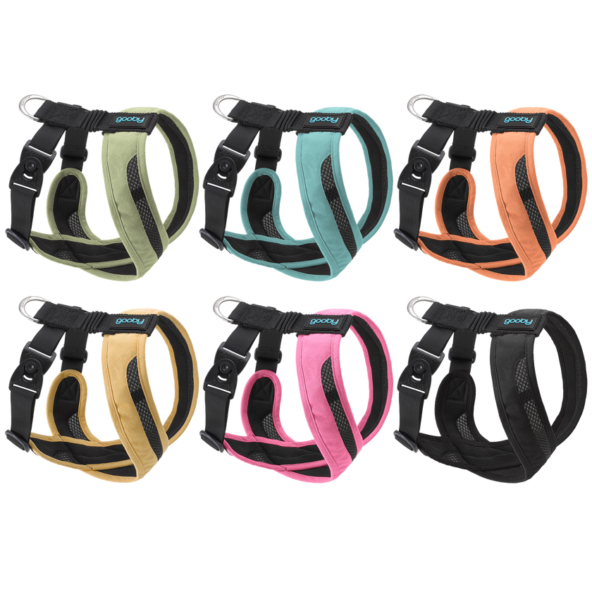 Escape Free Comfort X One Dog Harness