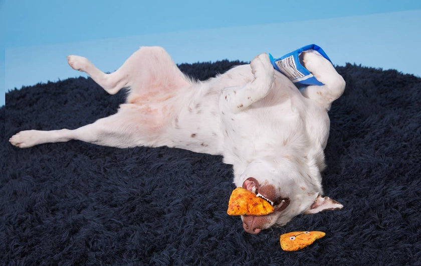 BARK Drool Ranch Chips Dog Toy
