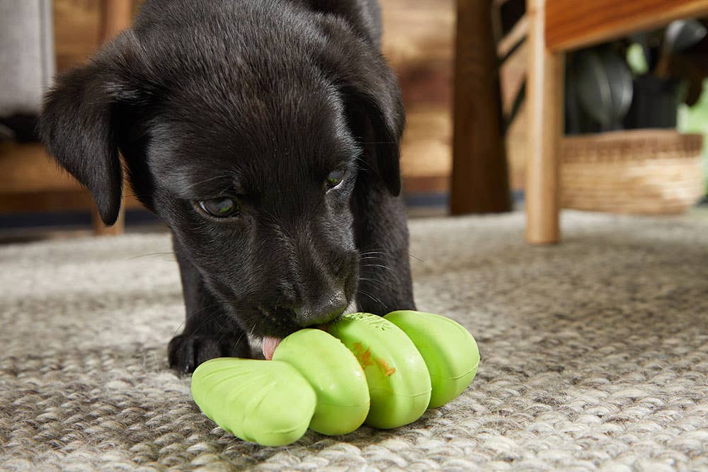 BARK Drop the Bass Dog Toy