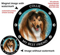 Collie Sable My Best Friend Circular Magnet