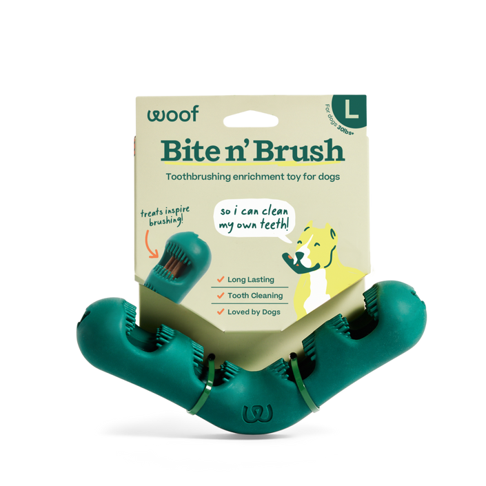 The Bite n' Brush
