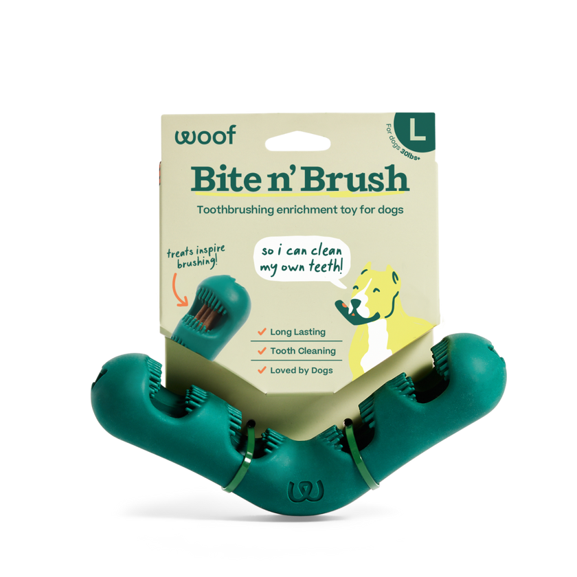 The Bite n' Brush