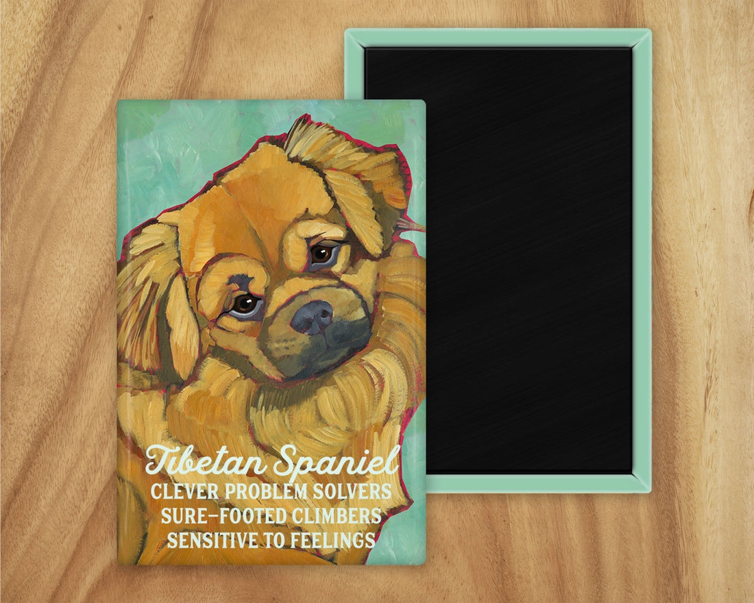 Tibetan Spaniel Magnet UD