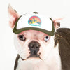 Surfer Trucker Hat for Dogs