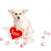 Valentine's Hearts Dog Tennis Ball Mini or Regular Single