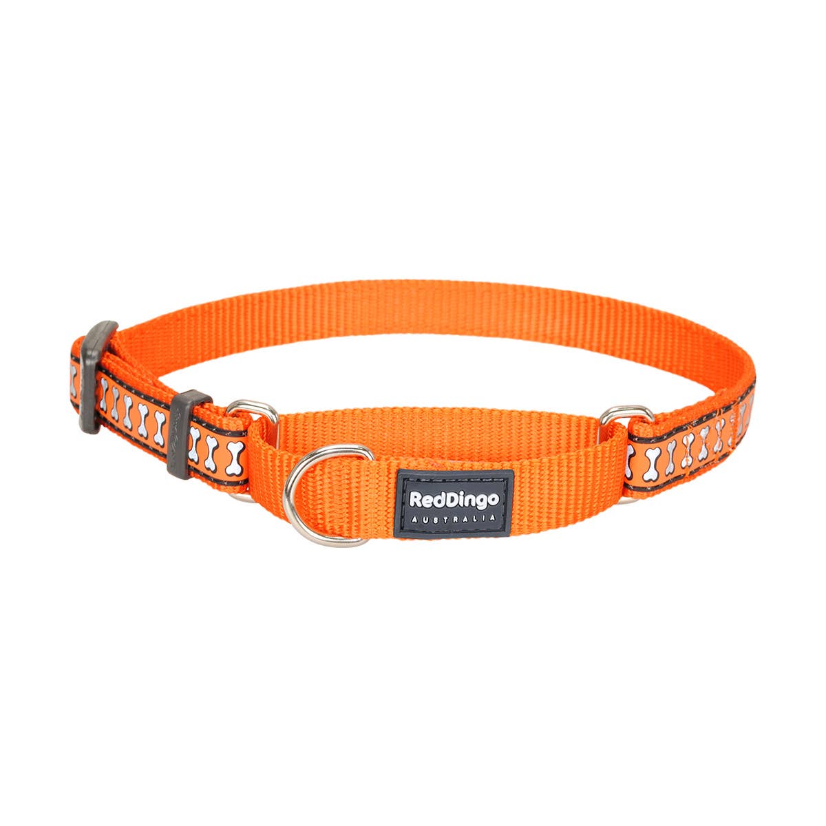 Martingale Dog Collar Reflective Bones Orange