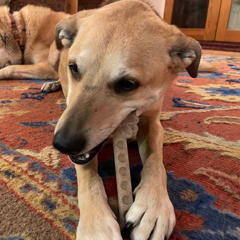 SP Flower Tower Durable Nylon Chew and Enrichment Dog Toy