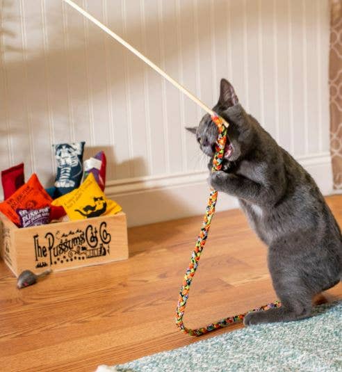 Cat Teasers Cat Toy