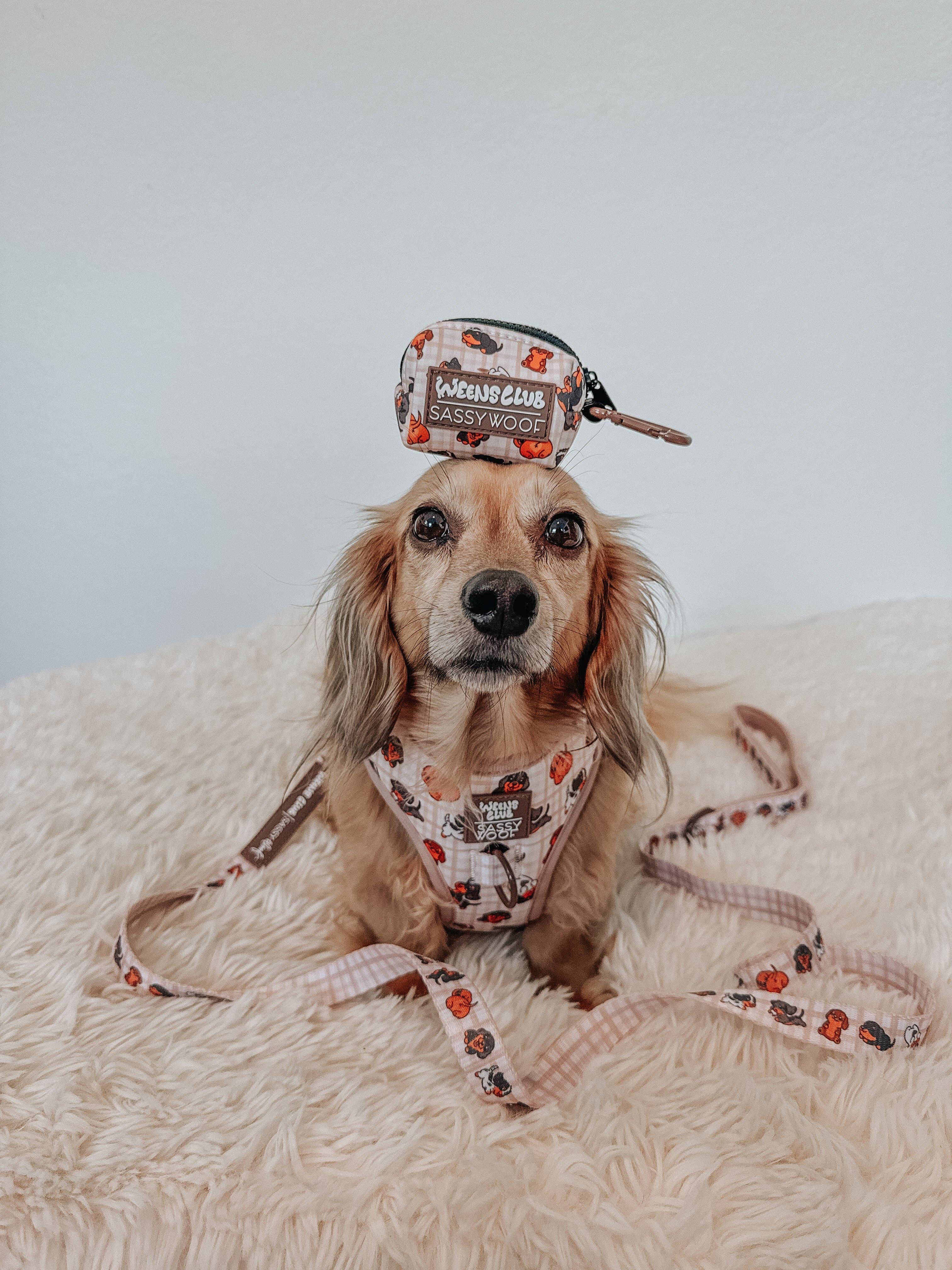 Dog Waste Bag Holder Weens Club With Clasp