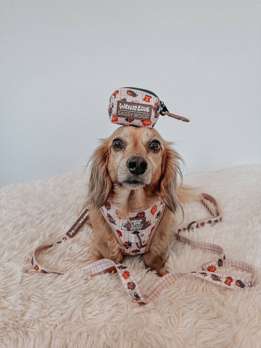 Dog Waste Bag Holder Weens Club With Clasp