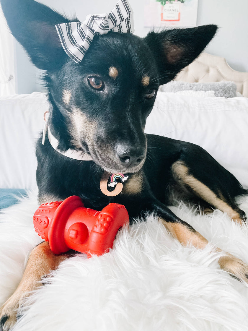 Double Wall Hydrant Treat Hiding Toy- Made in the USA