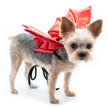Dog or Cat Dragon Wings Costume
