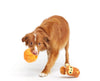 BARK Squirrel O' Lantern Plush Dog Toy Small