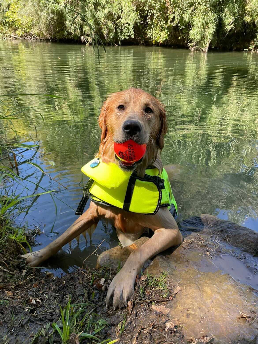 Dog Toy Fetch and Glow Floating Ball