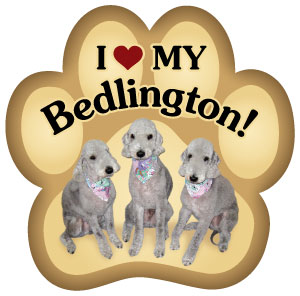 Show off your love for your favorite furry friend with our Bedlington Terrier Paw Magnet! Perfect for your car trunk or any magnetic surface, this adorable paw-shaped magnet features a vibrant image of your favorite dog or cat breed. Made from durable, weather-resistant materials, it’s designed to withstand the elements while adding a touch of personality to your vehicle or home.