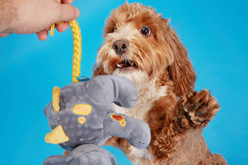 BARK Herbert the Herbivore Dog Toy