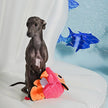 Dog Toy Clown Fish Ocean Pals Plush Toy