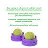 Purrple Passion Stick 'n' Lick Compressed Catnip - 2 Pack