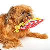 BARK Spaghetti and Meatballs Dog Toy