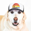 Trucker Hat for Dogs/Cats: Island Sunset Black/ L