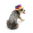 Bucket Pet Hat Rainbow