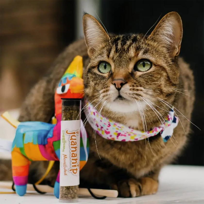 Meowijuana® Get Smashed Llama Piñata Refillable Wand Cat Toy
