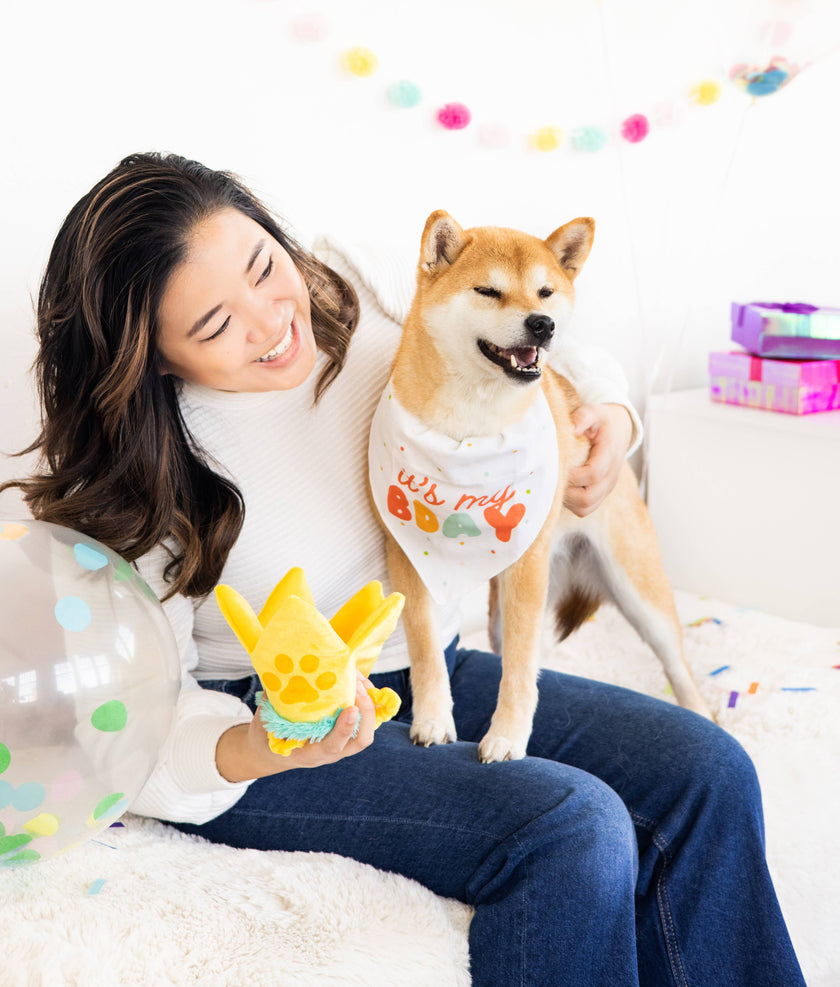 Pearhead Happy Barkday Pet M/L Bandana Hat Set