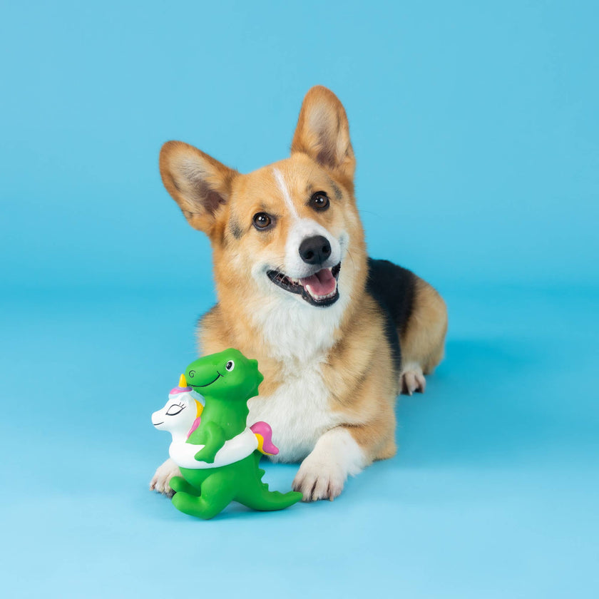 Dog Toy Dinosaur Pool Side Rex Latex Toy
