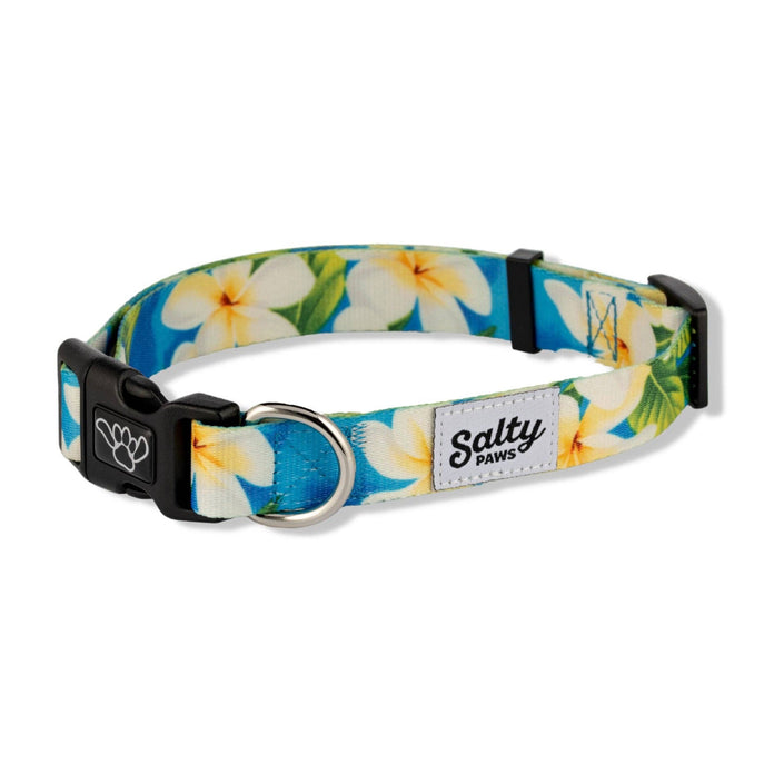 Blue Plumeria Tropical Dog Collar Made with Repreve