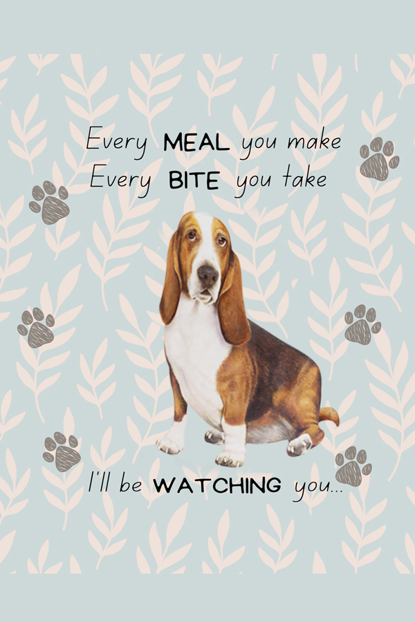Basset Hound, oven mitt set